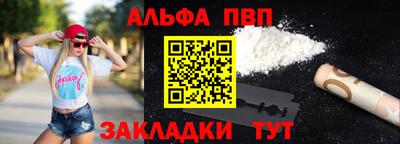 кокс Кингисепп