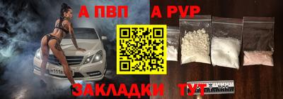 кокс Кингисепп