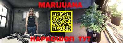 кокс Кингисепп