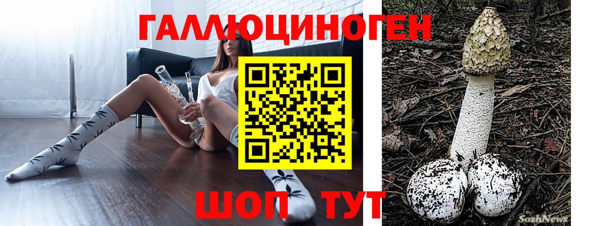 Барабинск  Галлюциногенные грибы прущие грибы  Вход с VPN 